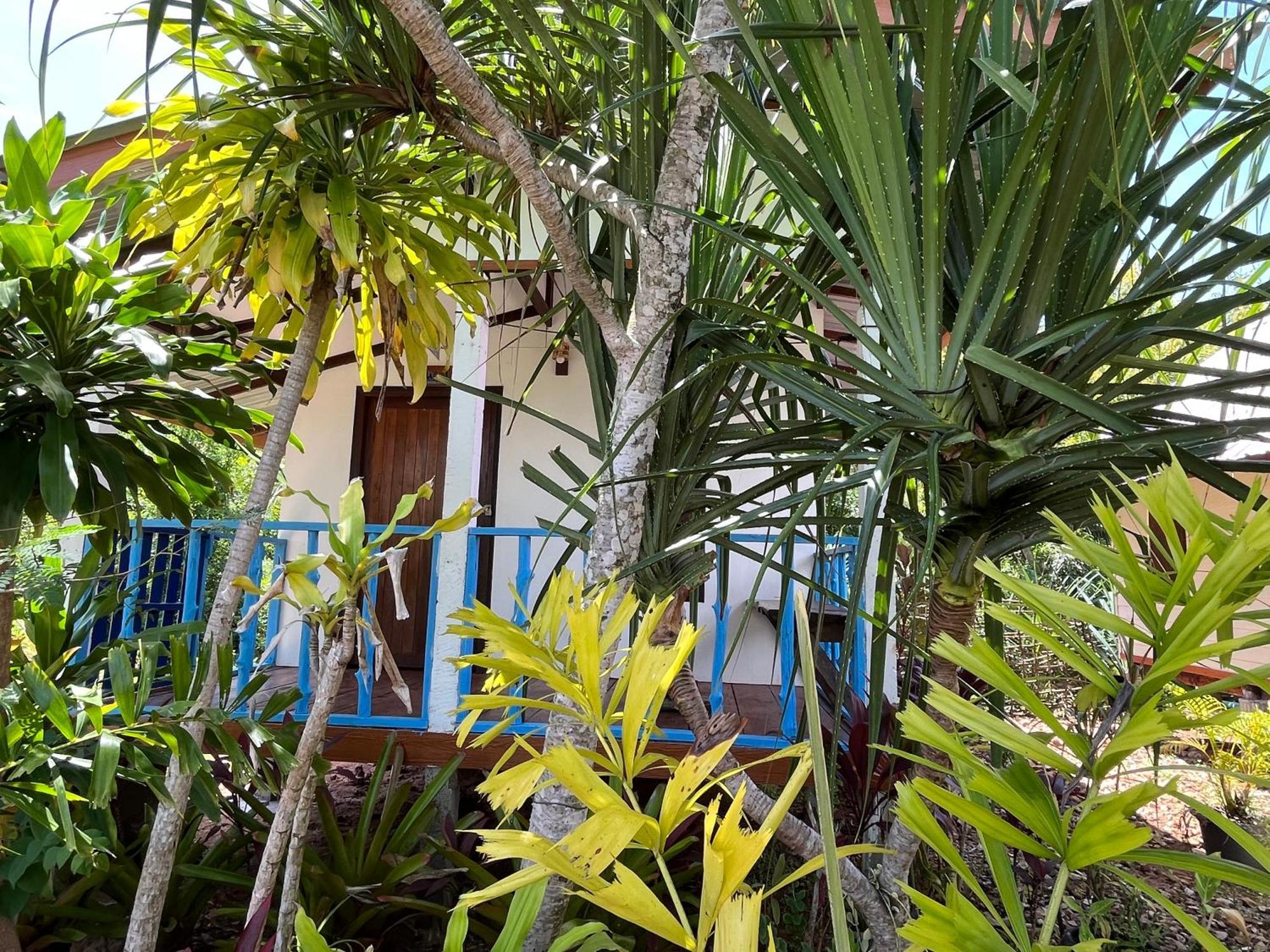 Blue Sky Bungalow 코 줌 외부 사진